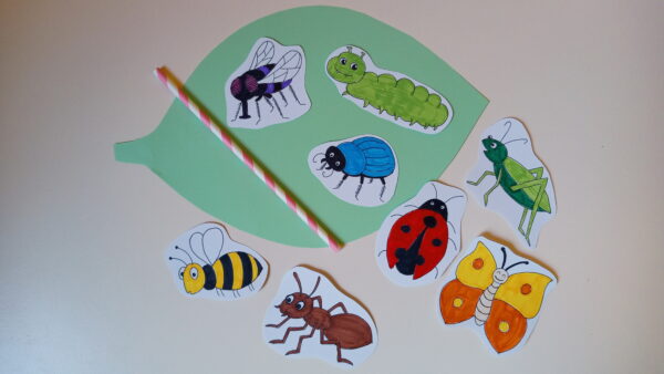 rysunki owadów: mrówka, mucha, chrabąszcz, pszczoła, biedronka, motyl, konik polny, gąsienica