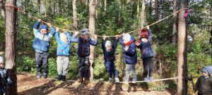 sześcioro chłopców wisi na linach w lesie