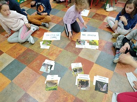 Dzieci siedzą na podłodze. Przed nimi leża obrazki ze zwierzętami oraz kartki z napisami: zasypiają na zimę, nie śpią