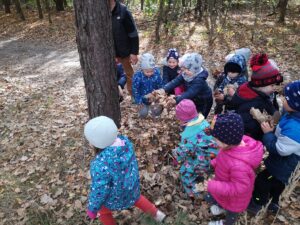 dzieci zbierają liście na około drzewa