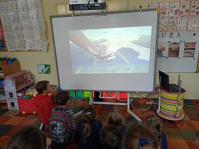 Dzieci siedzą na podłodze przed tablicą multimedialną. Na tablicy wyświetlany jest filmik, gdzie dziecko trzyma rękę nad kapslem, który leży na ziemi. 