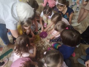 dzieci segregują nasiona