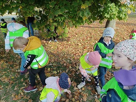 Dzieci w zielonych i żółtych kamizelkach zbierają żołędzie z ziemi.