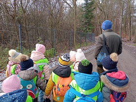 Dzieci idą z panem do lasu. Dzieci mają na plecach plecaki. Są ubrane w czapki, kurtki oraz odblaskowe, zielone kamizelki. 
