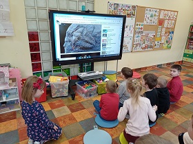 Dzieci siedzą na podłodze na kolorowych poduszkach przed monitorem, na którym wyświetlane jest zdjęcie ze skamieliną. 