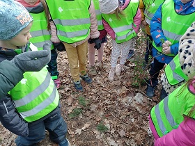 Dzieci w kurtkach, czapkach i zielonych, odblaskowych kamizelkach wraz z panią w rękawiczce stoją w lesie. 