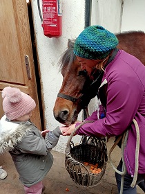Dziewczynka w zielonej kurtce i czapce podaje na otwartej dłoni marchewkę dla konia. Obok niego stoi pani i koń. 
