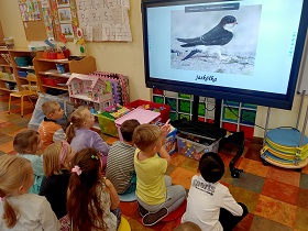 Dzieci siedzą na podłodze przed monitorem, na którym wyświetlany jest film przedstawiający jaskółkę. 
