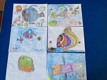 Sześć rysunków przedstawia morskie stworzenia: meduzy, ryby, ośmiornice.