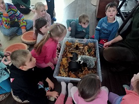 Dzieci i pan siedzą wokół pudełka, w którym znajdują się liście oraz pluszakowe zwierzęta., 