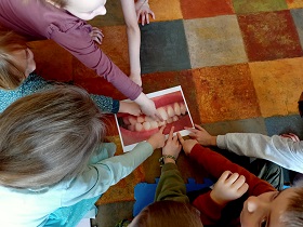Dzieci wskazują na zdjęcie zębów. Zdjęcie przedstawia mleczaki i zęby stałe.