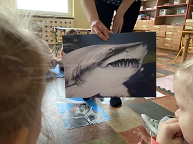 Dzieci patrzą na zdjęcie przedstawiające rekina.