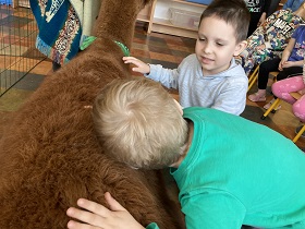 Chłopiec w zielonej bluzce ma położoną głowę na grzbiecie alpaki, drugi chłopiec głaszcze ją.