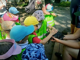 dzieci stoją i dotykają żółwia trzymanego przez panią.
