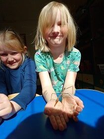 Na zdjęciu dwie dziewczynki – jedna w niebieskiej bluzce, druga w zielonej z wzorem – trzymają patyczaka na swoich dłoniach. Obie dziewczynki są uśmiechnięte i zadowolone, ciesząc się wspólnym czasem z owadem.