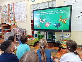 Dzieci siedzą przed monitorem i oglądają prezentację o owadach. Na ekranie widać konika polnego, biedronkę, motyla, żuka i szerszenia. 