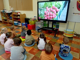 Dzieci siedzą na podłodze przed monitorem i oglądają film, na którym widać rzodkiewki.