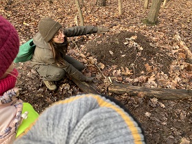 Pani kuca rękę ma wyciągniętą w stronę mrowiska.