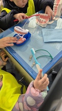 W gabinecie stomatologicznym dzieci uczą się higieny jamy ustnej. Jedno dziecko szczotkuje model zębów czerwoną szczoteczką, inne trzyma niebieską szczoteczkę. Na stoliku znajdują się modele uzębienia, narzędzia dentystyczne oraz podkład medyczny.